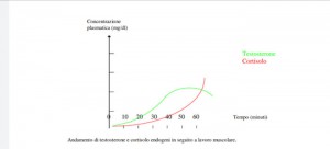 grafico andrea