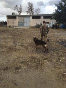 carabiniere cacciatore di sardegna