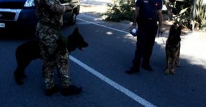 esercitazione antiterrorismo dei carabinieri con unita' cinofile